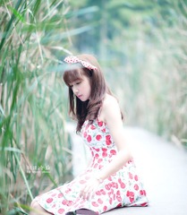 TJX_2455