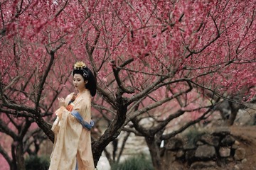 DSC_8375-编辑