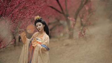 DSC_8623-编辑