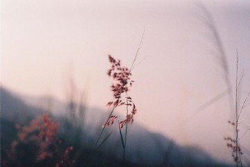 pentax第一卷【生活的颜色】