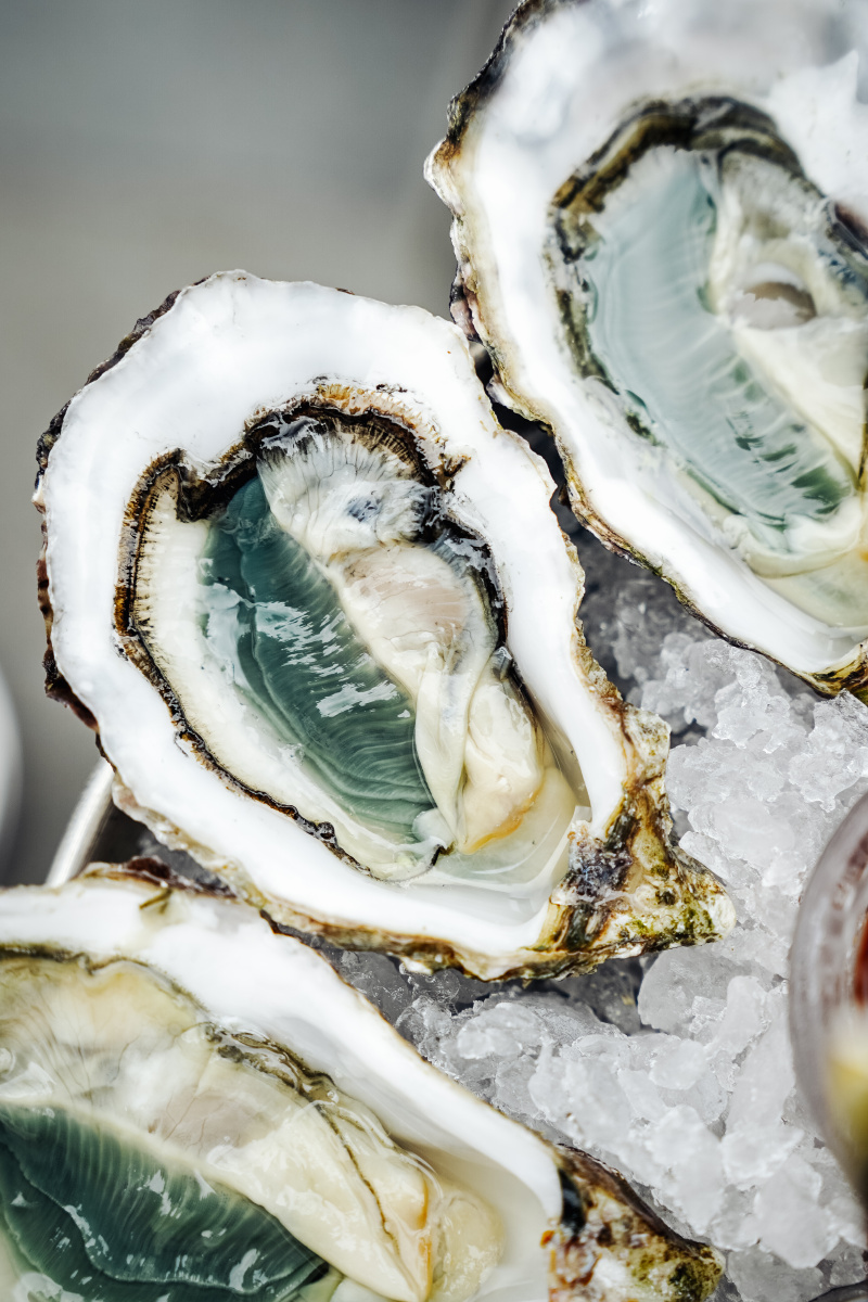 绿翡翠生蚝是真的赞啊🧚🏼 - yame