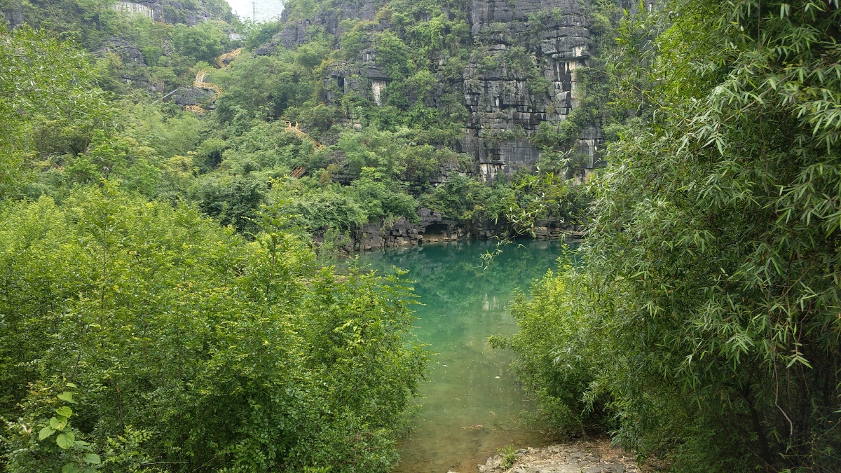 广西都安县桃花水母天窗