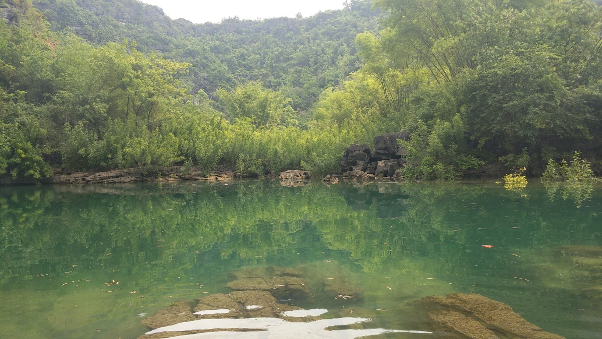 广西都安县桃花水母天窗