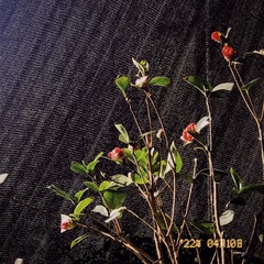 B2856791-591B-4B33-9609-795460C7E990/L0/001