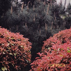 A789C2E2-B8C4-4767-BB93-2EEF9770A51D/L0/001