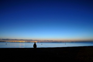 DSC_8893.jpg