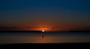 DSC_8981-.jpg
