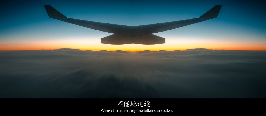 努力地追逐你想要的生活吧。