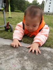 DSCF5740.JPG