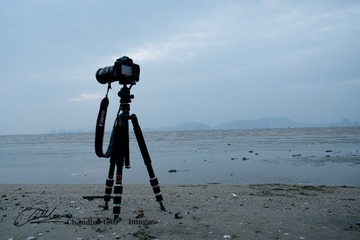 下白泥DSCF60962013-编辑