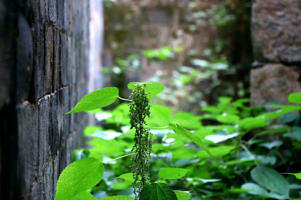 小山之秋，可以致远