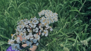 F8E6908C-492C-4784-BC60-FF03A178F53C/L0/001