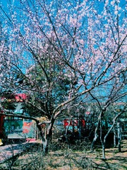2014-03-29 02.08.58 1