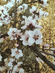 2014-04-18 08.11.24 2