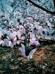 2014-04-18 08.12.38 1