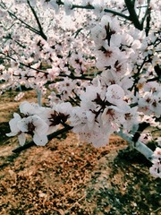 2014-04-18 08.13.43 1