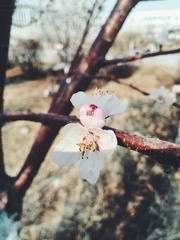 2014-04-18 08.16.23 1