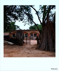 DSC_9472.JPG