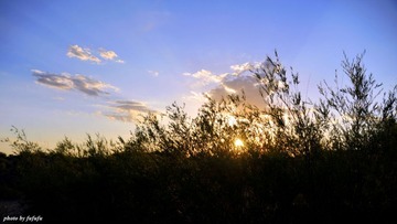 DSC_9655.JPG