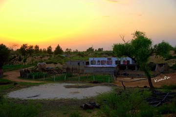 DSC_9942.jpg