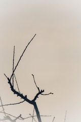 157088