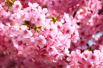 06D4372F-2BDC-422D-B397-CB2B90B2124F/L0/001