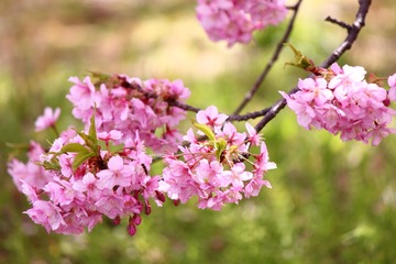 230CA95D-255B-473E-94E0-F8F697F8A4B0/L0/001