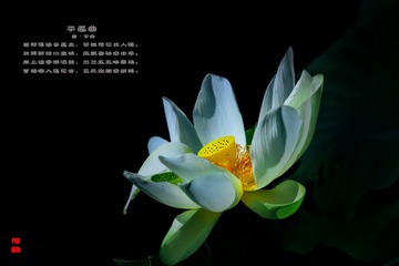 1360878