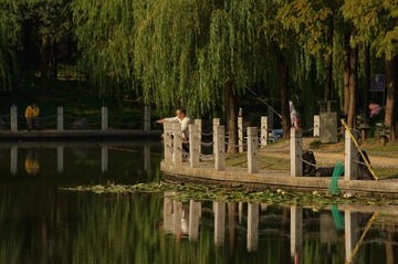 DSC08318_