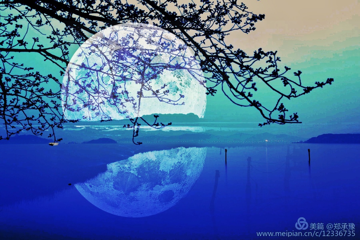 临湖赏月
