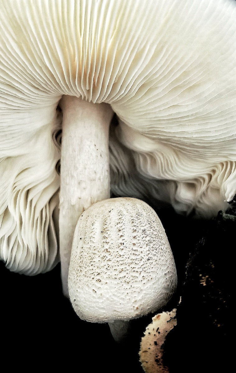 758_1200竖版 竖屏