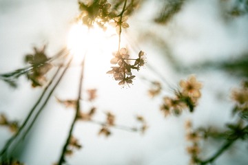 0D90E57C-B7E4-48DC-A89C-CF41F1DE90F5/L0/001