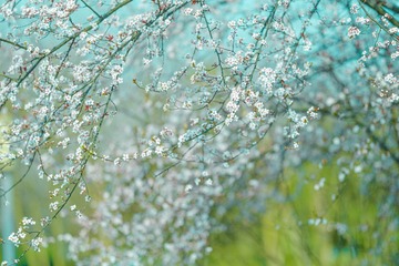 7A05F900-AD83-4314-9A8D-EA77E2D2F5B2/L0/001