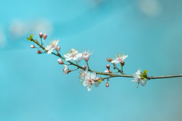 41695AB4-3076-4EC3-B04D-49F85F1BA4BC/L0/001