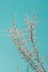 B639052E-BB5C-4F10-8F3C-DA70CCF55886/L0/001