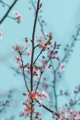 915B3C03-284D-41B0-B75F-4887EB44F377/L0/001