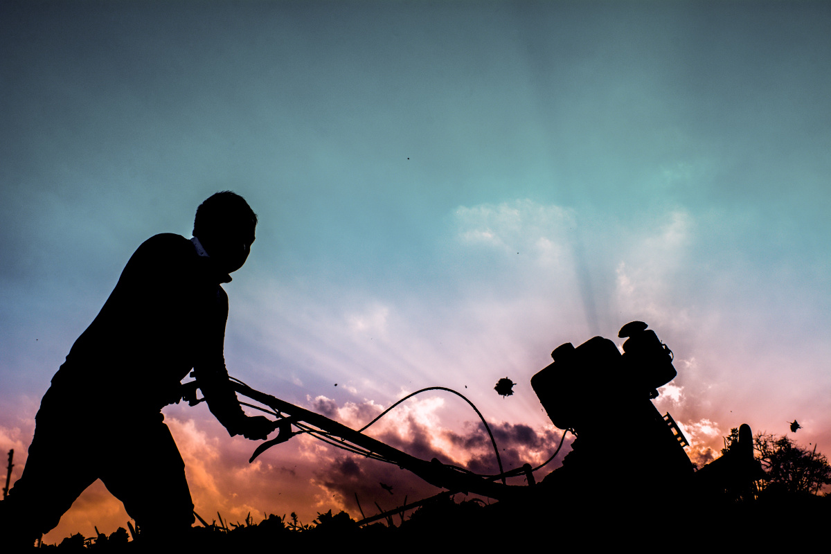 耕耘一分收获,最基层的劳动者总是默默的流着汗水,把希望寄托在努力