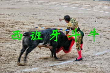 5067