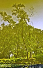 _MG_1138.jpg