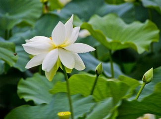 _MG_2518副本.jpg