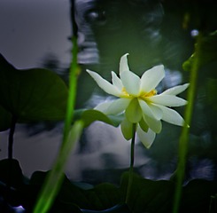 _MG_2550副本.jpg