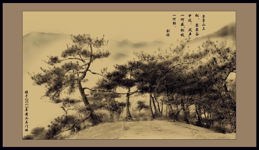 《雪松》<br />
