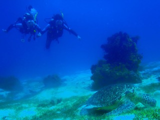 P7121638-编辑.jpg