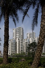 房地产-50.jpg