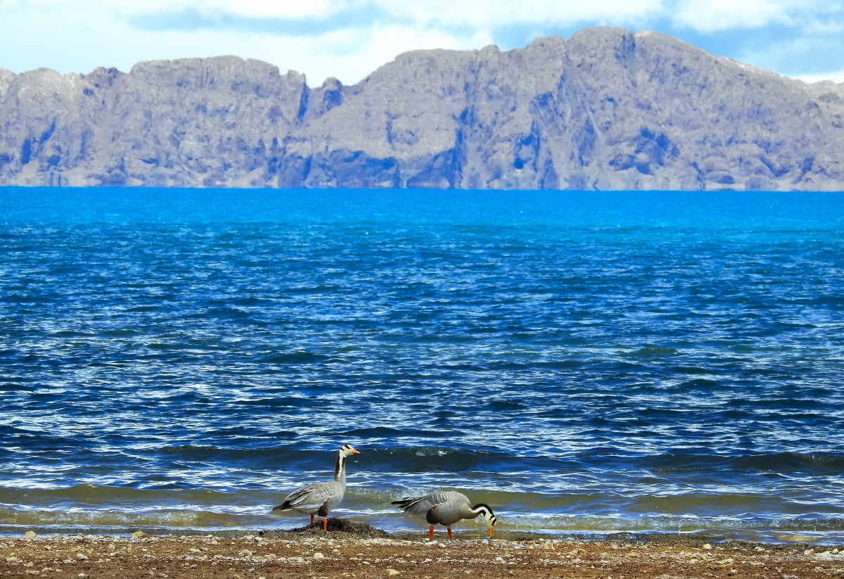 西藏第一大湖色林错风光