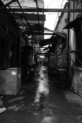 DSCF1202.JPG
