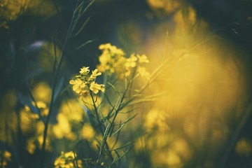 DSC_5150-