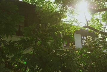 DSC09365副.jpg