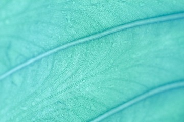 IMG_4527xiao.jpg