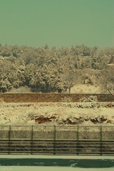 DSC07066小